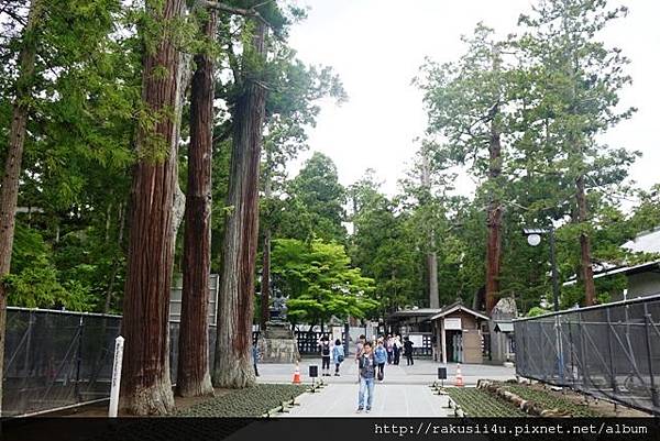 DSC00302.jpg DSC00302.jpg