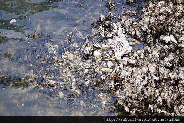 DSC00338.jpg DSC00338.jpg