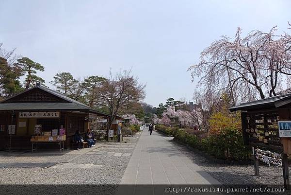 DSC07124.jpg DSC07124.jpg