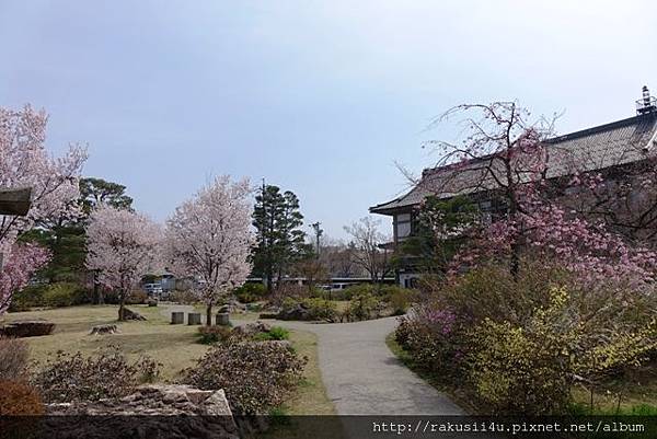 DSC07126.jpg DSC07126.jpg