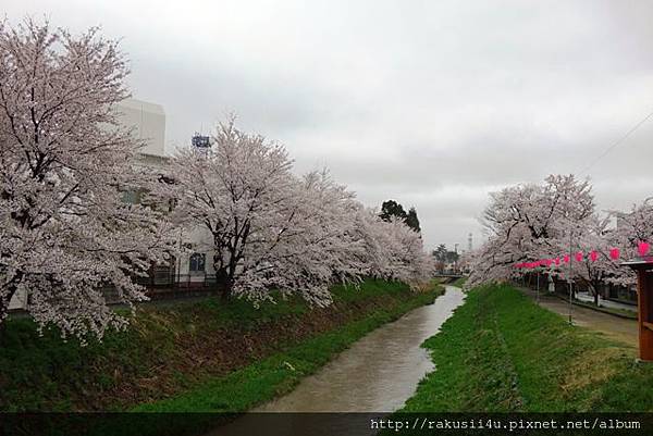 DSC07544.jpg DSC07544.jpg