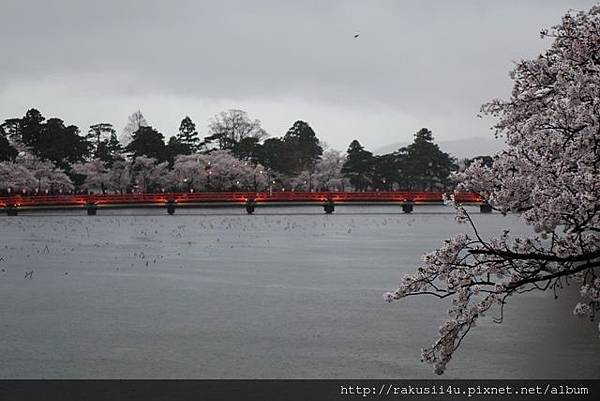 DSC07548.jpg DSC07548.jpg