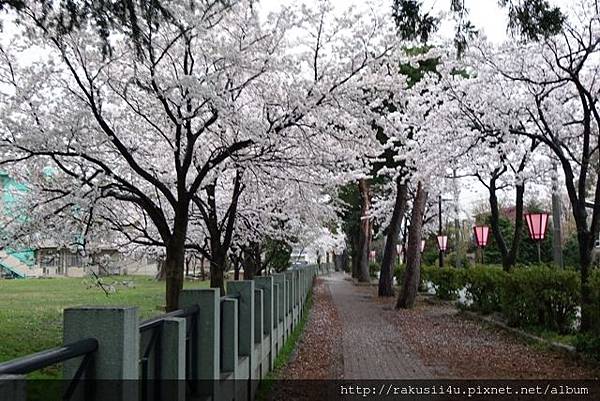 DSC07545.jpg DSC07545.jpg