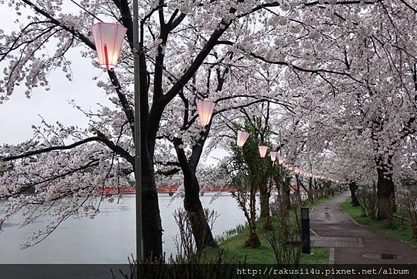 DSC07552.jpg DSC07552.jpg