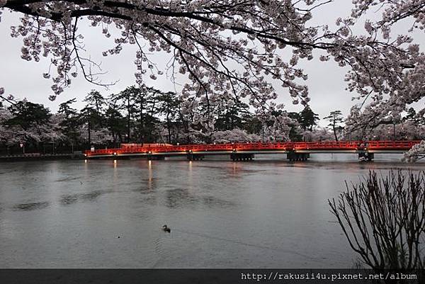 DSC07557.jpg DSC07557.jpg