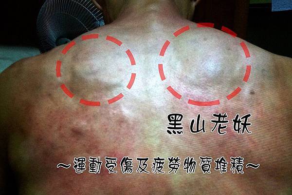 11880348_1066918446673435_4550324018555566915_n