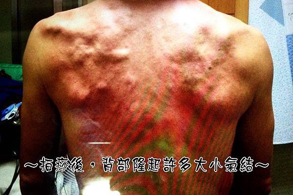 11870925_1066918453340101_845954305539405646_n 11870925_1066918453340101_845954305539405646_n