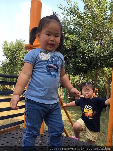 IMG_5046.JPG IMG_5046.JPG