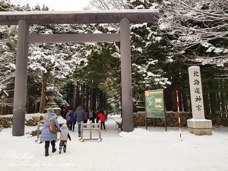 北海道神宮 (43).jpg