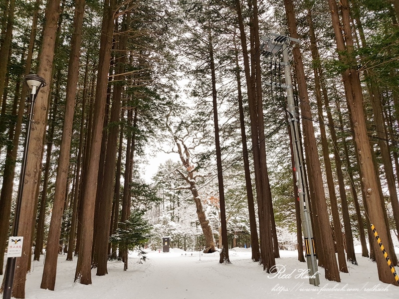 北海道神宮 (46).jpg