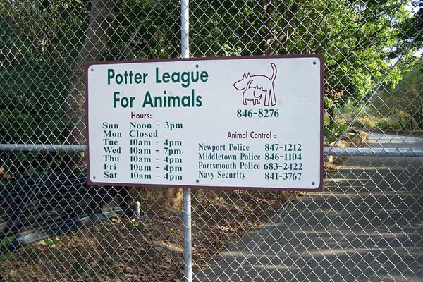 Potter League.JPG