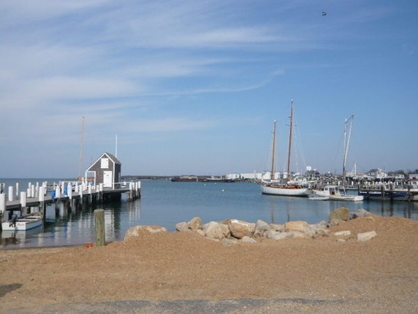 Vineyard Haven