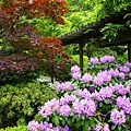 cleveland_botanic_garden1.jpg