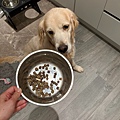 dog_Probiotic_6.jpg