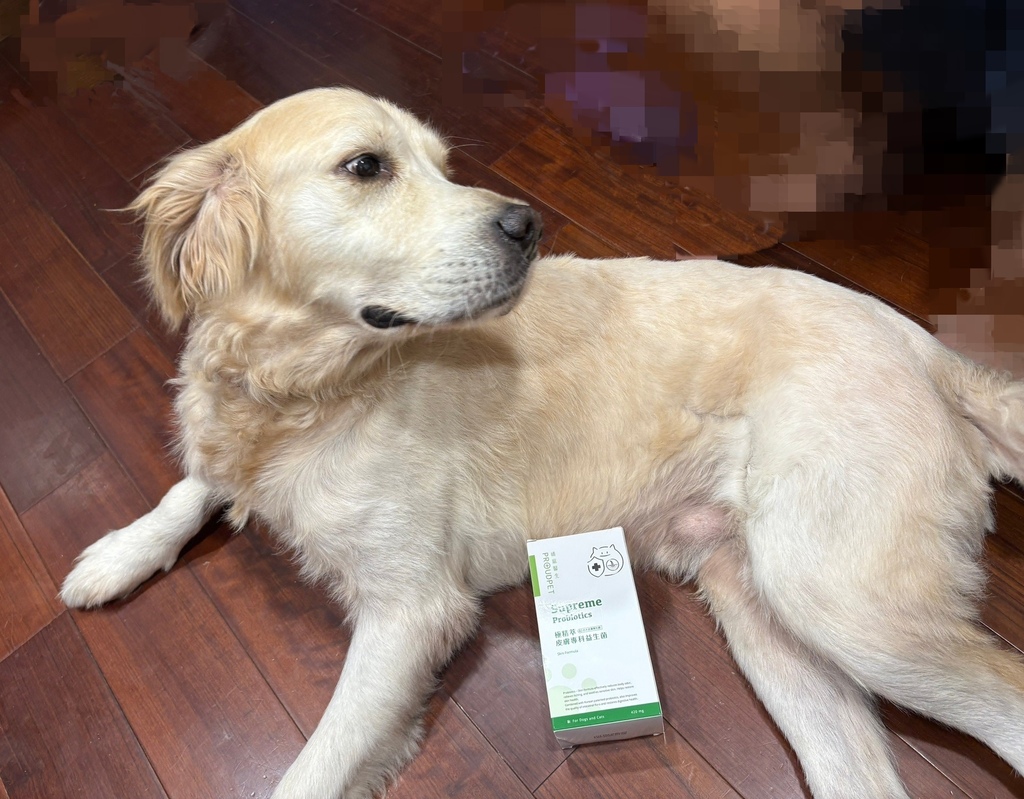 應該吃飼料還是鮮食?都要寵物界頂規- 嬌寵醫生 極精萃 皮膚 試用
