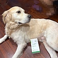 dog_Probiotic_9.jpg