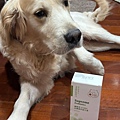 dog_Probiotic_13.jpg