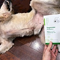 dog_Probiotic_11.jpg