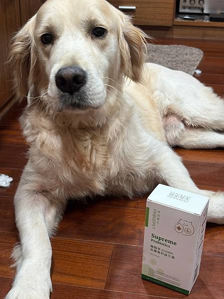 dog_Probiotic_14.jpg 試用