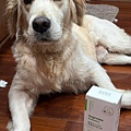 dog_Probiotic_14.jpg
