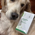 dog_Probiotic_12.jpg