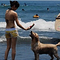 SC_9590.jpg