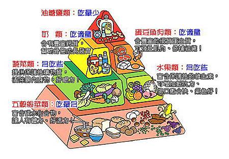 未來的熱門職業系列報導：營養師