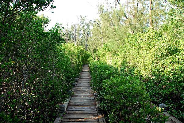 2016050701.jpg 2016050701.jpg