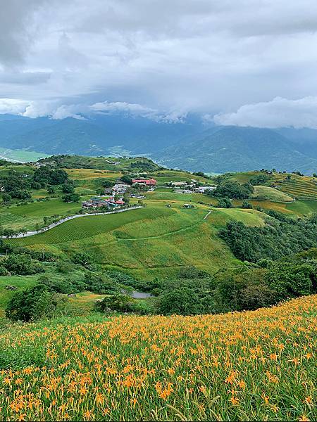 花蓮富里-六十石山金針花季-小瑞士花園1