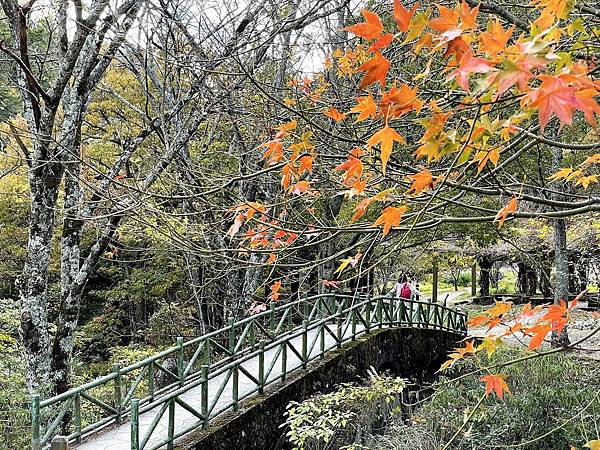 武陵農場 一年四季風景不打烊，武陵四秀賞櫻賞楓