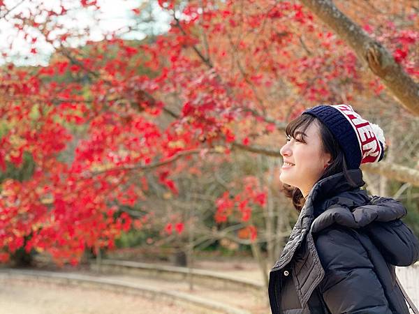 武陵農場 一年四季風景不打烊，武陵四秀賞櫻賞楓-楓林木屋