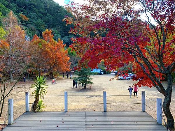 武陵農場 一年四季風景不打烊，武陵四秀賞櫻賞楓