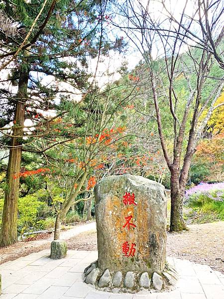 武陵農場 一年四季風景不打烊，武陵四秀賞櫻賞楓-搬不動石頭