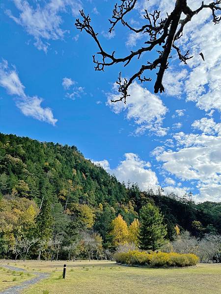 武陵農場 一年四季風景不打烊，武陵四秀賞櫻賞楓