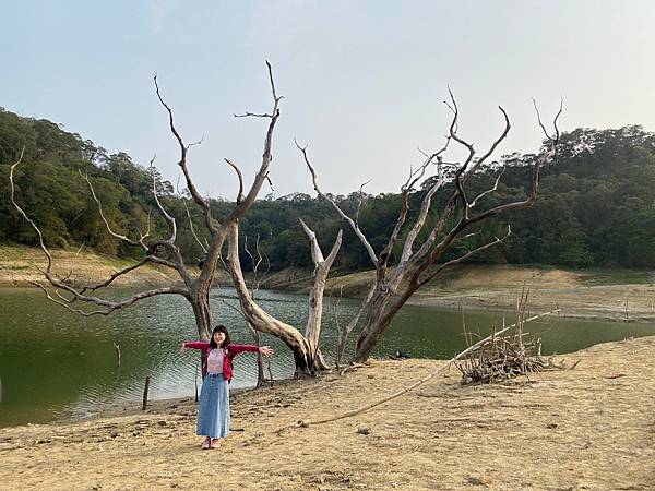 ,新竹,寶山鄉,沙湖壢咖啡館,餐廳,景觀餐廳,聚餐,