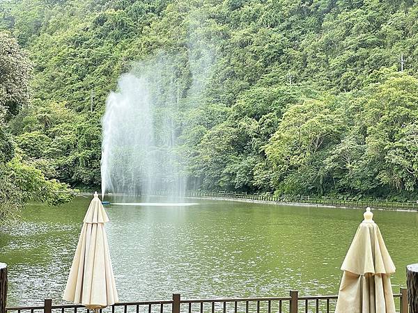 宜蘭三星│宜蘭長埤湖精靈村：宜蘭新景點一日遊，穿和服體驗偽出國、牧草餵食可愛動物園、湖邊享用飲料茶點蛋糕│IG網美和服體驗偽出國、羊駝、梅花鹿、跳跳羊、迷你毛驢【網美景點】【親子景點】