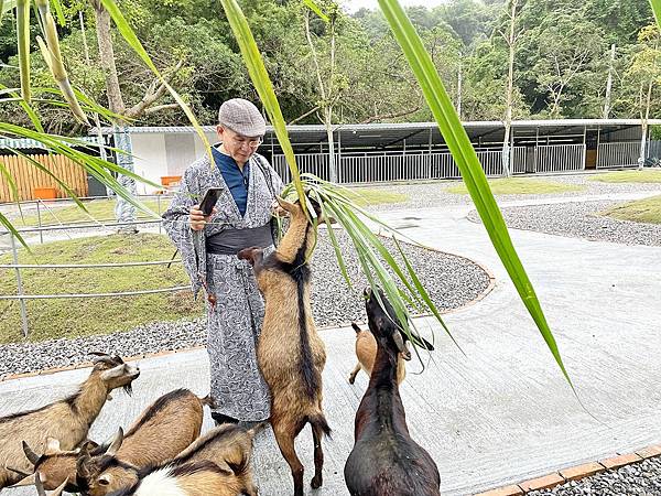 宜蘭三星│宜蘭長埤湖精靈村：宜蘭新景點一日遊，穿和服體驗偽出國、牧草餵食可愛動物園、湖邊享用飲料茶點蛋糕│IG網美和服體驗偽出國、羊駝、梅花鹿、跳跳羊、迷你毛驢【網美景點】【親子景點】