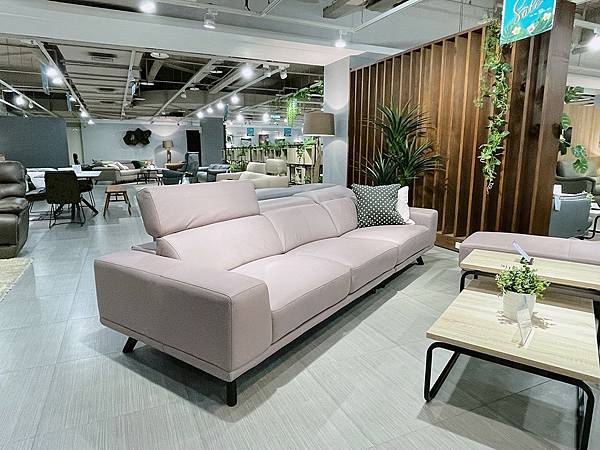 IMG_9271_compressed.jpg IMG_9271_compressed.jpg