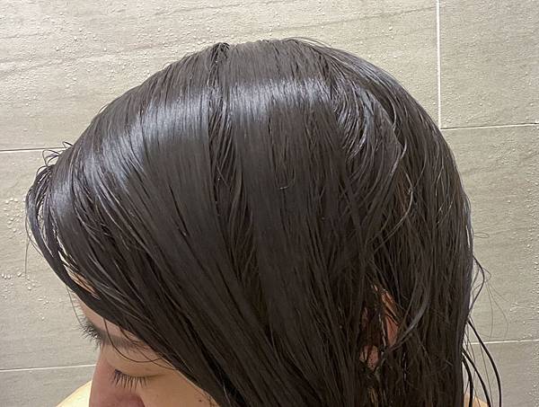 洗沐保養│丹麥Hairlust頭髮護理：源⾃丹⿆的全⾯性頭髮護理產品，使用天然純淨和有機的成分，用環保及永續的方式提升秀髮的⾃然美│丹⿆⽣產直送、通過Eco有機、素食零殘忍認證