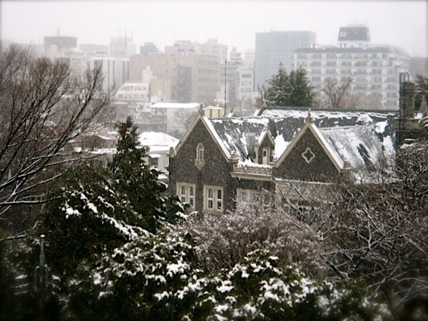 東京大雪1.JPG