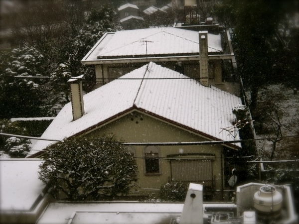 東京大雪2JPG.JPG