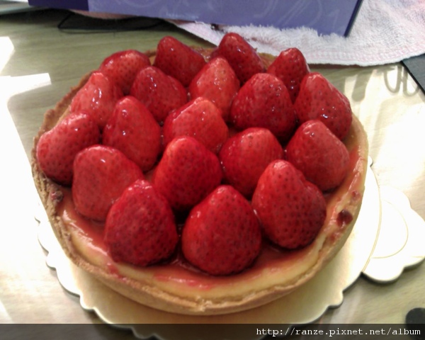 PIC00101_草莓起士蛋糕.jpg