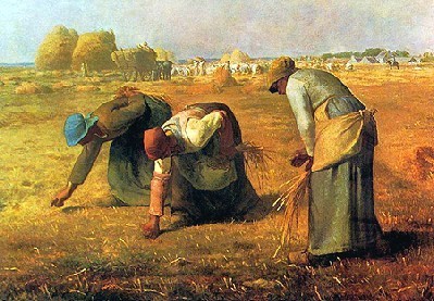 拾穗《The Gleaners》.jpg