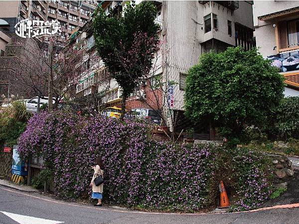 未命名-1-03.jpg 未命名-1-03.jpg