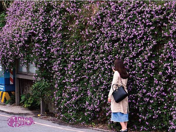 未命名-1-02.jpg 未命名-1-02.jpg