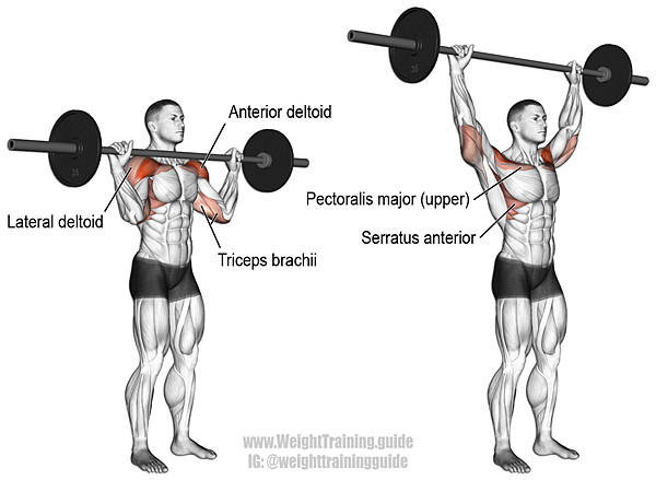 barbell-military-press.png