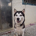 DSCN1485.JPG