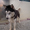 DSCN1486.JPG