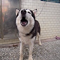 DSCN1487.JPG