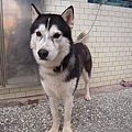 DSCN1488.JPG
